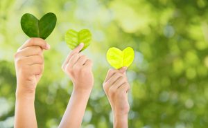 Hands,Holding,Green,Heart,Shaped,Tree,,Planting,Trees,,Loving,The